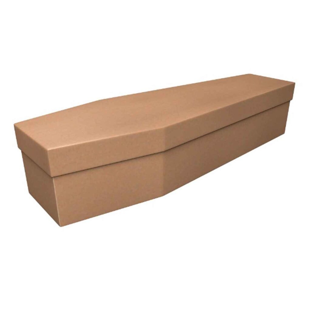 Natural Cardboard Coffin